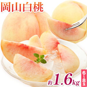 yӂ邳Ɣ[Łzy2026Ns\z R Iׂ 800g 1.2kg 1.4kg 1.6kg Зs2026N7{-7{oׁt R s RY  t[c ʕ   