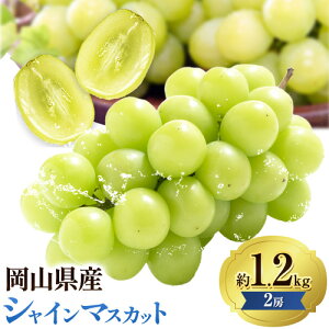 yӂ邳Ɣ[ŁzԂǂVC}XJbg Iׂ  600g 1[ ܂  1.2kg 2[ yzsn悠z Зs9{-10{oׁt R s RY Ԃǂ t[c ʕ
