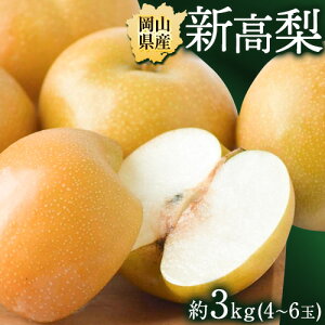 yӂ邳Ɣ[Łz RY V 3kg ( 4~6 ) yzsn悠z Зs10{-11{oׁt R s RY Ȃ t[c ʕ  iV  V 