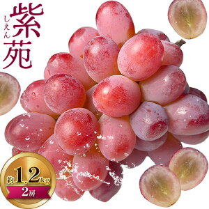 yӂ邳Ɣ[ŁzԂǂ Iׂ  600g 1[ ܂  1.2kg 2[ yzsn悠z Зs2025N11{-12{oׁt R s RY Ԃǂ t[c ʕ 
