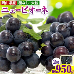 yӂ邳Ɣ[ŁzԂǂ j[sI[l Iׂ  490g 1[  600g 1[ ܂  950g 2[ Зs9{-10{oׁt R s RY Ԃǂ t[c ʕ  sI[