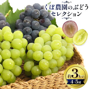 yӂ邳Ɣ[Łzڔ_  Ԃǂ ZNV  2kg ( 3`4[ ) ܂  3kg ( 4`5[ ) ڔ_ s2025N9{-11{oׁt}XJbg  R s }XJbg t[c
