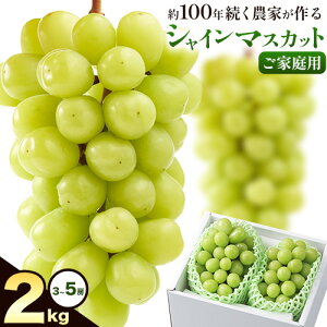 yӂ邳Ɣ[ŁzԂǂ VC}XJbg ƒp _Ƃ VC}XJbg 2[ 3`5[ 1kg ` 2kg s9{-10o(yj)t Nini farm }XJbg  R 