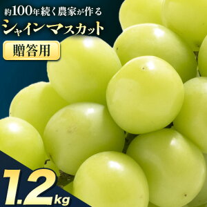 yӂ邳Ɣ[ŁzԂǂ VC}XJbg p _Ƃ VC}XJbg 2[ ܂ 2`3[ 1kg ` 1.2kg s9{-10o(yj)t Nini farm }XJbg  