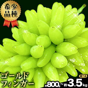 yӂ邳Ɣ[Łzys\tJnzS[htBK[ Iׂ 1~3[ 3~6[ 8~10[yzsn悠z^||_s2026N8{-8{o(yj)t Ԃǂ  R 