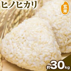 【令和7年産米先行予約】【ふるさと納税】ヒノヒカリ 玄米 選べる 5kg 10kg 15kg 20kg 30kg タンポポ農園《30日以内に出荷予定(土日祝除く)》送料無料 岡山県 浅口市 米 こめ ご飯 コメ
