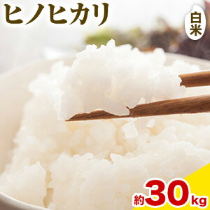 yߘa7NYĐs\zyӂ邳Ɣ[ŁzqmqJ  Iׂ 5kg 10kg 15kg 20kg 30kg ^||_s30ȓɏoח\(yj)t R s    R