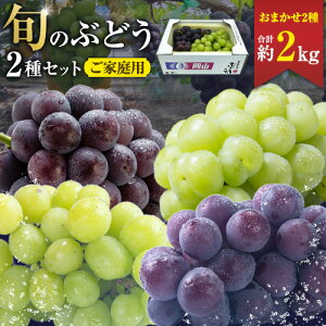 yӂ邳Ɣ[ŁzԂǂ ƒp {  Ԃǂ 2Zbg ܂2 v2kg ܂Ԃǂ s8{-10{oׁtR s t[c fU[g  }XJbg Ԃǂ 