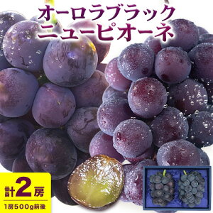 yӂ邳Ɣ[Łzy2026Ns\zj[sI[l 1[ I[ubN 1[ 500g O ܂Ԃǂ s2026N8{-9{oׁtR s t[c fU[g  Ԃǂ 