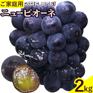 yӂ邳Ɣ[Łzy2026Ns\z󂠂 Ԃǂ j[sI[l ƒp v2kg ܂Ԃǂ s2026N7{-10{oׁtR s  t[c ʕ RY ʕ 