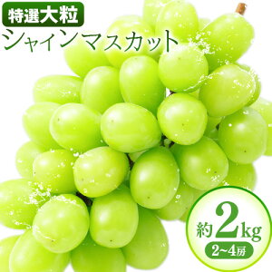 yӂ邳Ɣ[Łzys\zI 嗱 VC}XJbg 2kg(2~4[) Г{AO[v{ NISSHOKU FARMs2025N10{-12{oׁt uhE Ԃǂ  R 