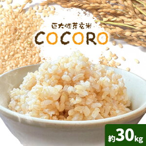 yӂ邳Ɣ[ŁzCOCORO  Iׂ5kg 10kg 30kg yzsn悠z () h[NGCg_Y s2025N10{-11{oׁt R s R