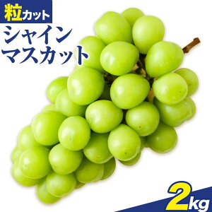 yӂ邳Ɣ[ŁzVC}XJbg Jbg ΂ 1kg 2kg@ys\z Lino  Kai Farms2025N10{-11{oׁt}XJbg  R s VC}XJbg R Ԃǂ