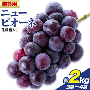 yӂ邳Ɣ[Łzp t[c RY j[sI[l ϔ 3[ ` 4[ 2kgys\z Lino  Kai Farms2025N9{-10{oׁtsI[l  R s Mtg