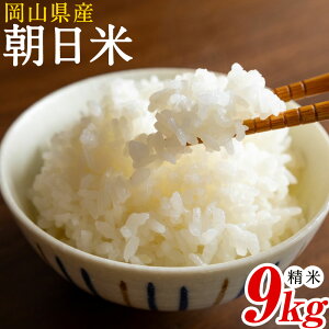 yӂ邳Ɣ[Łzߘa7NY RY   9kg  ꏊ_ R ss30ȓɏoח\(yj)t    