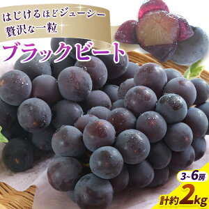 yӂ邳Ɣ[Łzy2026Ns\zRY Ԃǂ ubNr[g Iׂ v 600g 700g 800g 1kg 1.2kg 1.5kg 2kg  ͂s2026N8{-9{oׁtR Y  t[c ʕ R