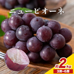 yӂ邳Ɣ[Łzy2026Ns\z RY j[sI[ll Iׂ v600g`2kg Ђ͂s2026N6{]7{oׁtR s Ԃǂ  t[c Mtg ʕ f