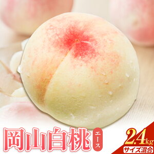 yӂ邳Ɣ[Łzy2026Ns\zR  G[X yIׂz600g~2.4kg s2026N7{]8{oׁt ͂   R Y t[c ʕ R s t[c