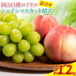 yӂ邳Ɣ[Łzy2026Ns\zRY R C L~ 3LTCY VC}XJbg Iׂ v 800g 1kg 1.2kg l  ͂s2026N7{]8{oׁt R 
