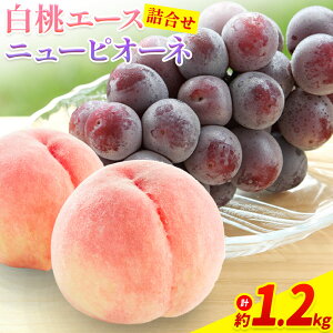 yӂ邳Ɣ[Łzy2026Ns\zRY R G[X L~ 3LTCY j[sI[l Iׂ v 800g 1kg 1.2kg l  ͂s2026N7{]8{oׁt R Y t