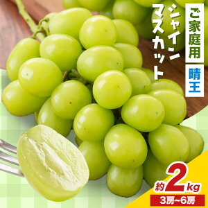 yӂ邳Ɣ[Łz RY ƒpVC}XJbg  Iׂ v600g`2kg Ђ͂s2026N8{-11{oׁtR s Ԃǂ  t[c Mtg ʕ fU[g 