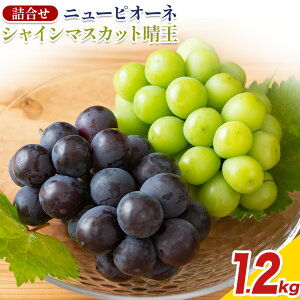 yӂ邳Ɣ[Łzy2026Ns\zRY VC}XJbguvƃj[sI[l Iׂ L`3L v800g`1.2kg Ђ͂s2026N6]7{oׁtR s Ԃǂ 