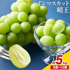 yӂ邳Ɣ[Łz RY VC}XJbg  Iׂ v600g`5kg Ђ͂s2025N8{`11{\tR s Ԃǂ  t[c Mtg ʕ fU[g Y