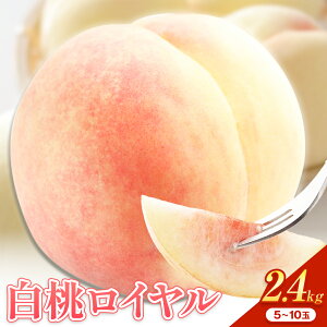 yӂ邳Ɣ[Łzy2026Ns\zR  C yIׂz600g`2.4kg s2026N7{]8{oׁt  R Y t[c ʕ R s  ͂ t[
