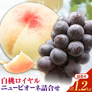 yӂ邳Ɣ[Łzy2026Ns\zRY Cj[sI[ll Iׂ v800g`v1.2kg Ђ͂s2026N7{]8{oׁtR s   Ԃǂ  