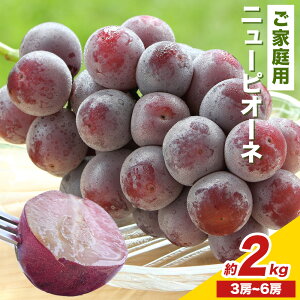 yӂ邳Ɣ[Łz y2026Ns\zRY ƒp j[sI[ll Iׂ v600g`2kg Ђ͂s2026N8{-9{oׁtR s Ԃǂ  t[c Mtg 