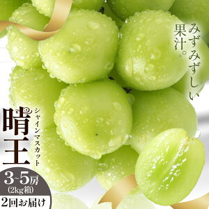 y2026Ns\zyӂ邳Ɣ[ŁzVC}XJbg  2[ ` 5[  VC }XJbgs2026N9{-10{oח\t T(RsX(xmHL