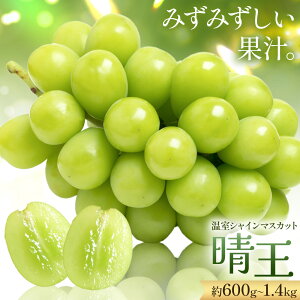 【2026年発送先行予約】【ふるさと納税】シャインマスカット 温室 晴王 1房 2房 定期便 シャイン マスカット《2026年7月中旬‐10月中旬頃発送》 晴レ乃青果 (岡山中央卸売市場店(富士紙工 有