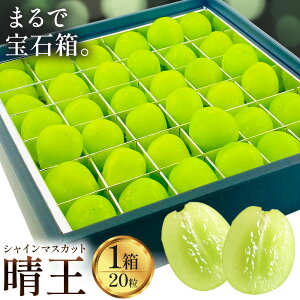 y2026Ns\zyӂ邳Ɣ[ŁzVC}XJbg  20 VC }XJbgs2026N9{-10{oח\tTʁ@(RsX(xmH L)) 