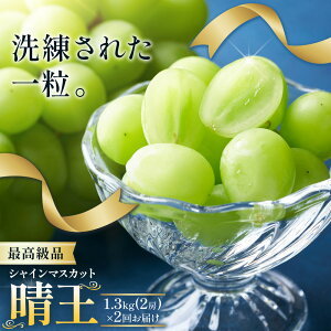 y2026Ns\zyӂ邳Ɣ[ŁzVC}XJbg  2  1[ 650g 2[ 1.3kg ōi VC }XJbgs2026N9{-10{oח\t T(R