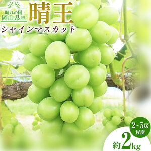 yӂ邳Ɣ[ŁzԂǂ VC}XJbg Iׂ 600g 700gyIz1kg 2kg cXLЁs9{-11{oׁt R s RY Ԃǂ t[c ʕ 