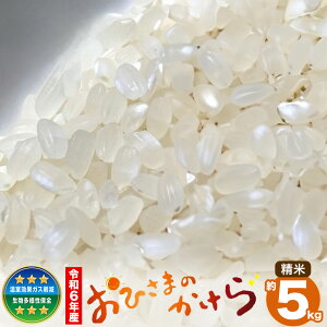 yӂ邳Ɣ[Łzߘa7NY RY ʍ͔|  Ђ܂̂  5kg Imt@Ng[s30ȓɏoח\(yj)tR s     