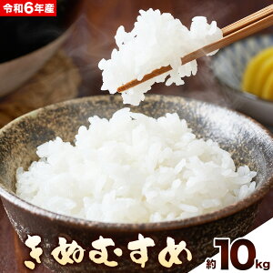 yӂ邳Ɣ[Łzߘa7NY RY ʍ͔| ʂނ Iׂe 5kg 10kg Imt@Ng[s30ȓɏoח\(yj)tR s   