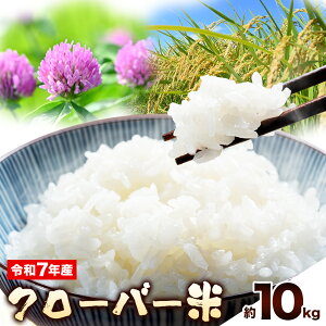 yӂ邳Ɣ[Łzߘa7NY RY ʍ͔|  N[o[ Iׂe 5kg 10kg Imt@Ng[s30ȓɏoח\(yj)tR s    N[o