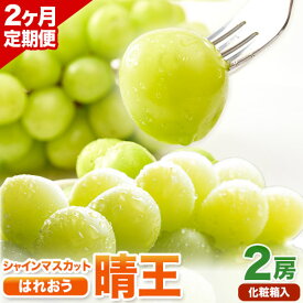 【ふるさと納税】【先行予約】【2ヶ月定期便】 シャインマスカット晴王 はれおう 2房入り(1房600g以上) 化粧箱入 株式会社山博(中本青果)《2026年8月下旬-9月下旬出荷予定》 定期 計2回お届け 岡山県 浅口市 ぶどう マスカット 果物 ギフト 送料無料【配送不可地域あり】