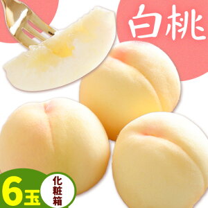 yӂ邳Ɣ[Łzy2026Ns\z 6(1.6kgȏ) 8(1.7kgȏ) ЎR ({)s2026N7{]8{oׁtR s   t[c { ʕ Y RY 