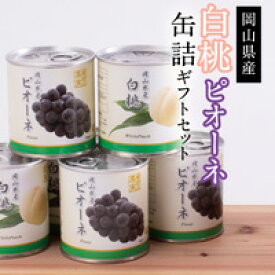 【ふるさと納税】zz−102　岡山県産白桃・ピオーネ缶詰ギフトセット