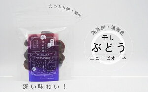 yӂ邳Ɣ[Łzzz-116@j[sI[l@Ԃǂ