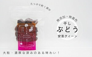 yӂ邳Ɣ[Łzzz-117@|NB[Ԃǂ