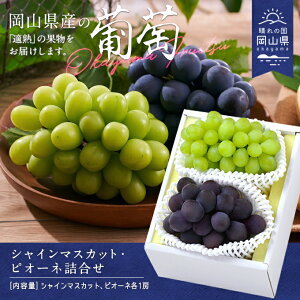 yӂ邳Ɣ[Łzyߘa8NzVC}XJbgEsI[ll@CS-13