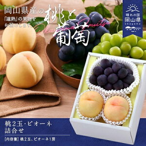 yӂ邳Ɣ[Łzyߘa8NzEsI[ll@CY-2