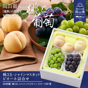 yӂ邳Ɣ[Łzyߘa8NzEVC}XJbgEsI[ll@CT-3