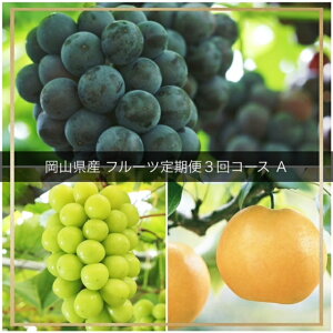 yӂ邳Ɣ[Łzyߘa8NEs\zt[c S3R[XAiR aC sI[l j[sI[l VC}XJbg jvv-109@kCEꌧEւ̔z