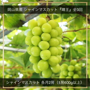 yӂ邳Ɣ[Łzyߘa8NEs\zVC}XJbgwxS3@VC}XJbgiE1[600gȏj2[@ϔ NN-36@kCEꌧEւ̔z͂ł