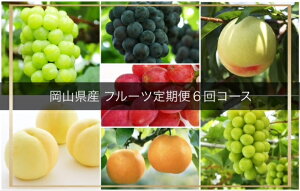 【ふるさと納税】【令和8年発送・先行予約】岡山県産 晴れの国岡山フルーツ7月8月9月10月11月12月定期便6回 化粧箱入りA(清水白桃 白桃 ピオーネ ニューピオーネ 瀬戸ジャイアンツ シャ