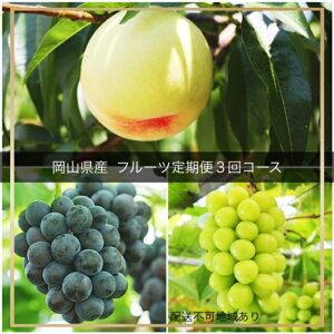 yӂ邳Ɣ[Łzyߘa8NEs\zt[c3R[XiR aC  sI[l j[sI[l VC}XJbgjIT-2@kCEꌧEւ̔z͂ł